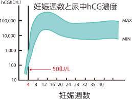 尿中HCG.jpg