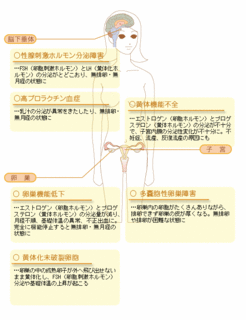 排卵障害の原因.gif