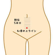 曲骨.jpg