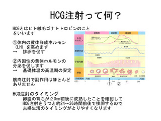 hcg注射.jpg