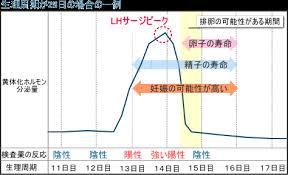 排卵日検査薬陽性.jpg